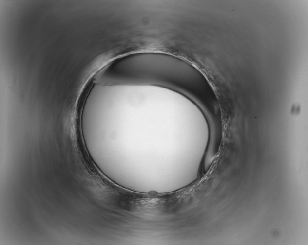 X0000103480152200810031550