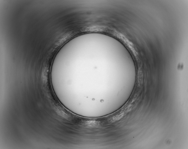 X0000103480153200810031550