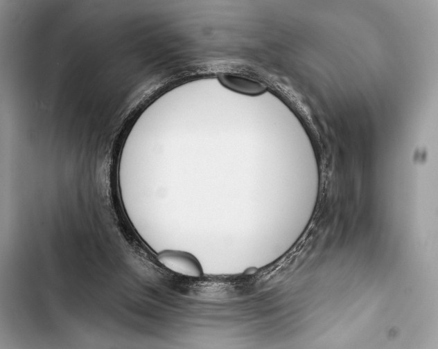 X0000103480154200810031551