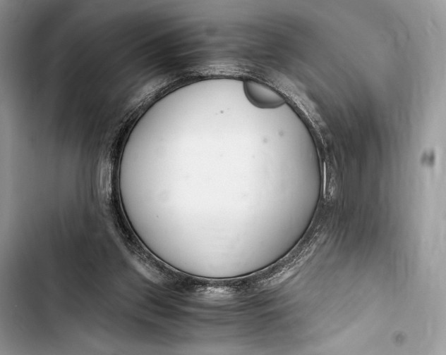 X0000103480157200810031551