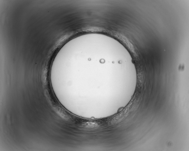 X0000103480159200810031551