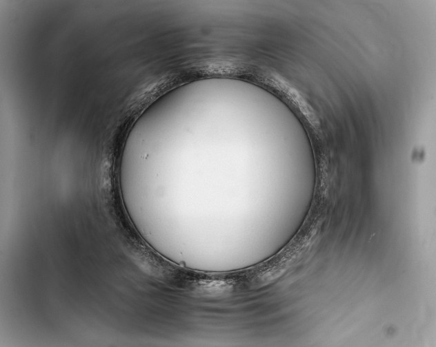 X0000103480161200810031551