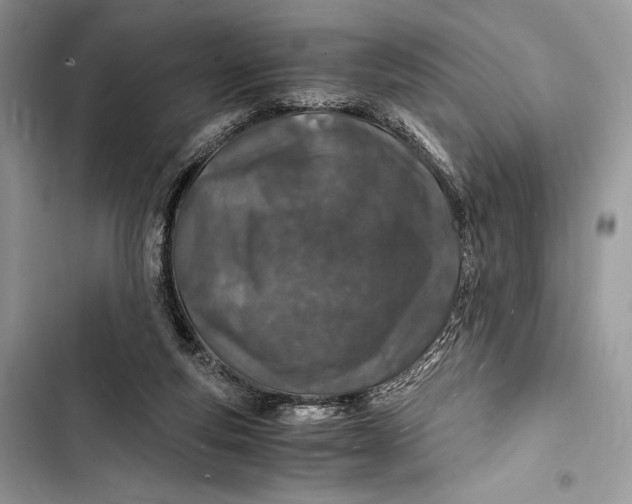 X0000103480163200810031551