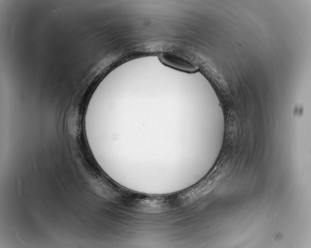 X0000103480164200810031551