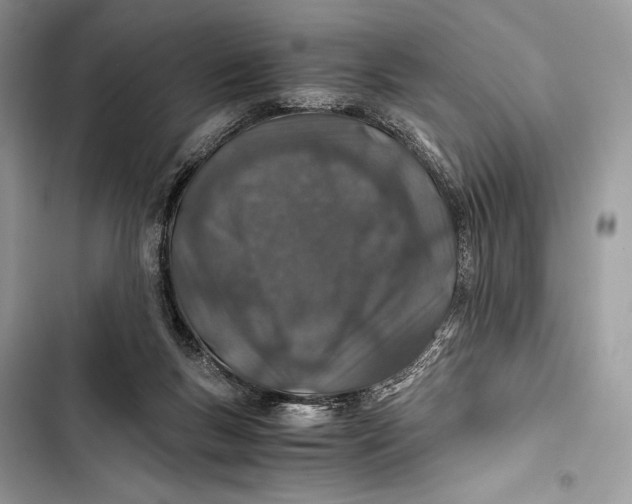 X0000103480167200810031551