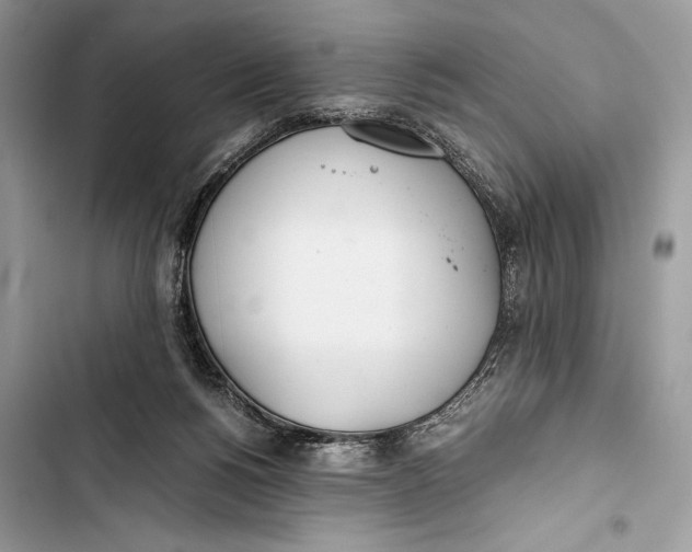 X0000103480168200810031551
