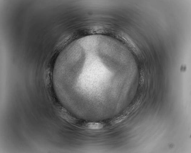 X0000103480169200810031551