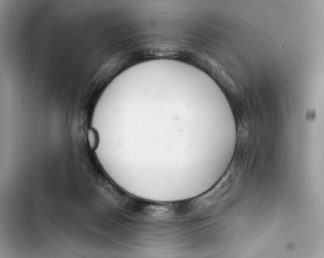 X0000103480170200810031551