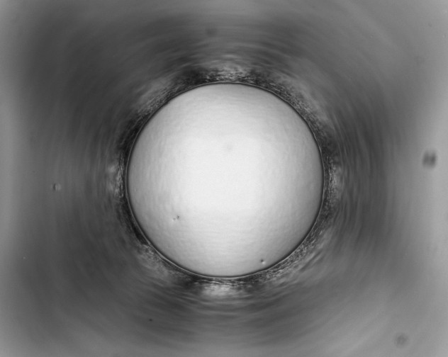 X0000103480177200810031551