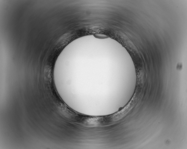 X0000103480178200810031551