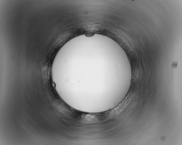 X0000103480180200810031551