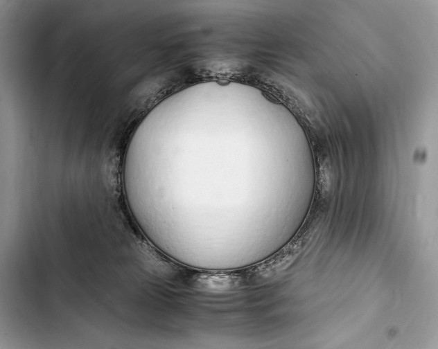 X0000103480181200810031551