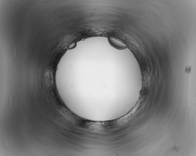 X0000103480182200810031551