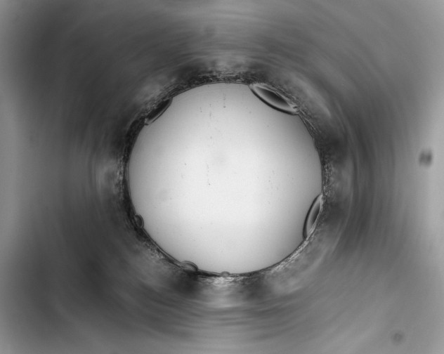 X0000103480184200810031551