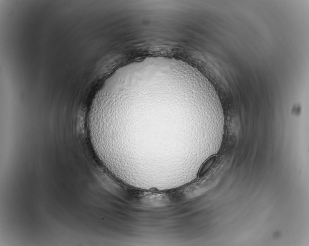 X0000103480185200810031551