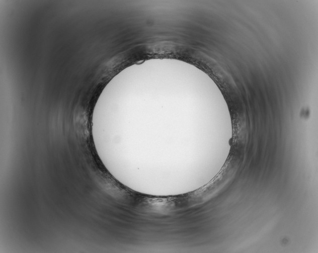 X0000103480187200810031551