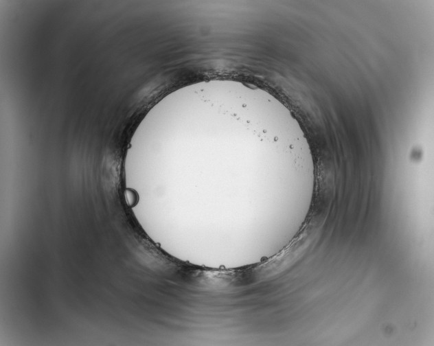 X0000103480188200810031551