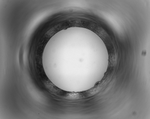 X0000103480189200810031551