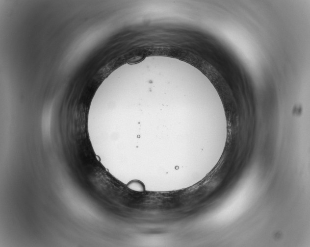 X0000103480190200810031551