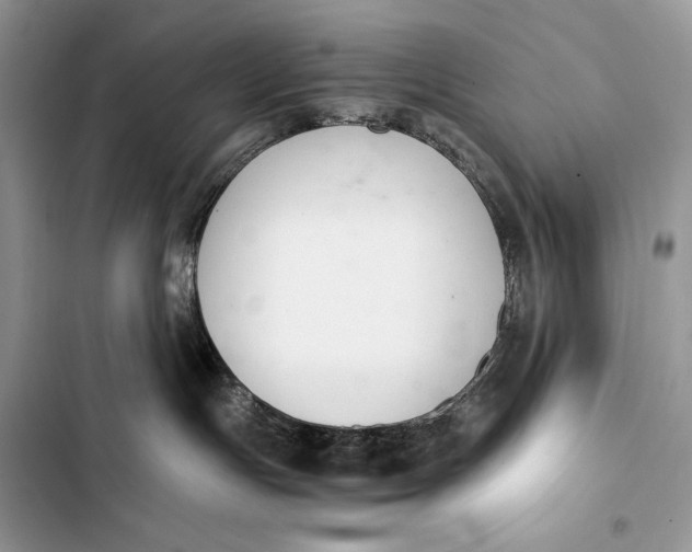 X0000103480191200810031551