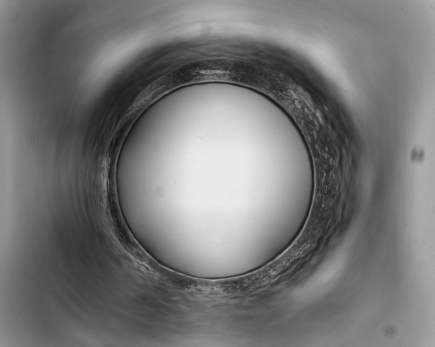 X0000103480194200810031550