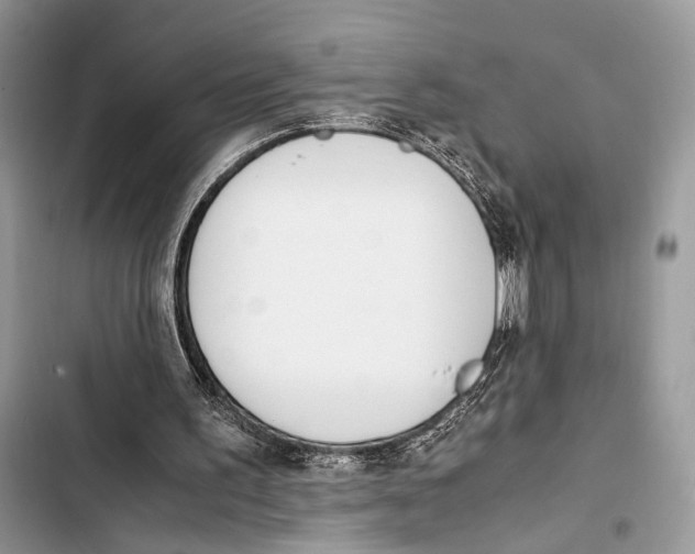 X0000103480195200810031550