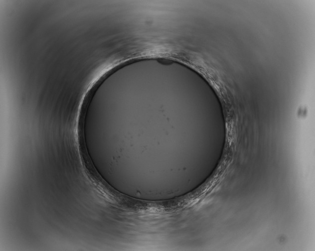 X0000103480196200810031550