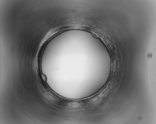 X0000103480198200810031550