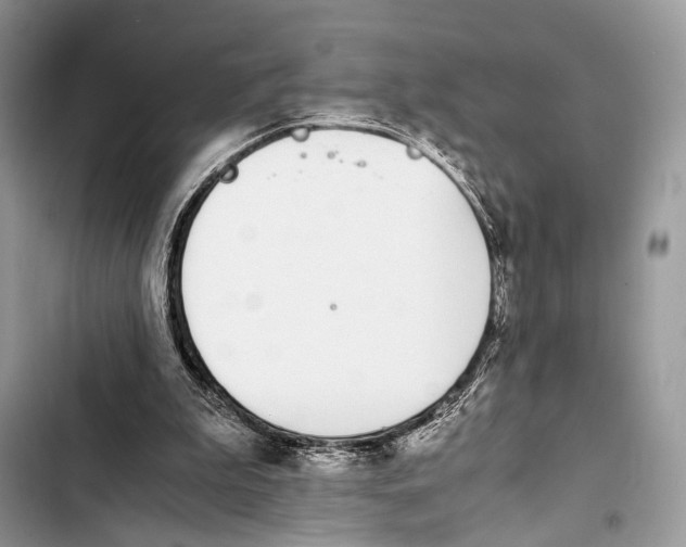 X0000103480199200810031550