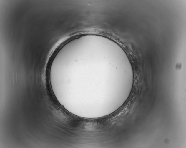 X0000103480200200810031550