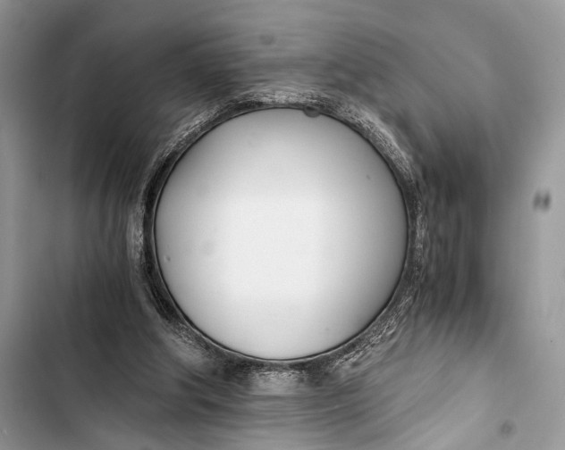 X0000103480202200810031550