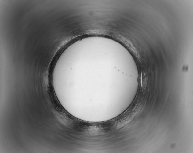 X0000103480204200810031550