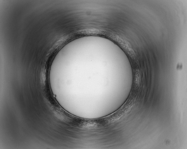 X0000103480206200810031550