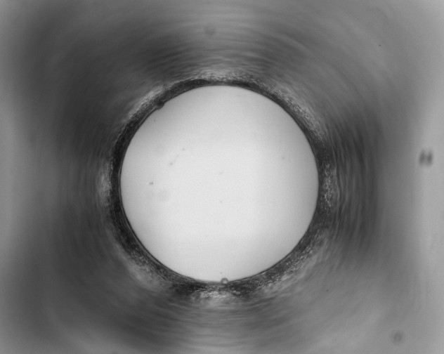 X0000103480208200810031550