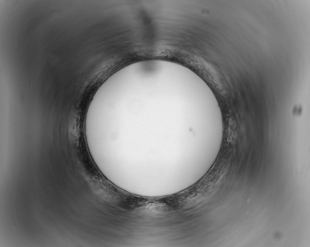 X0000103480210200810031550