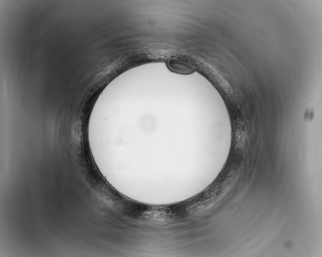 X0000103480211200810031550