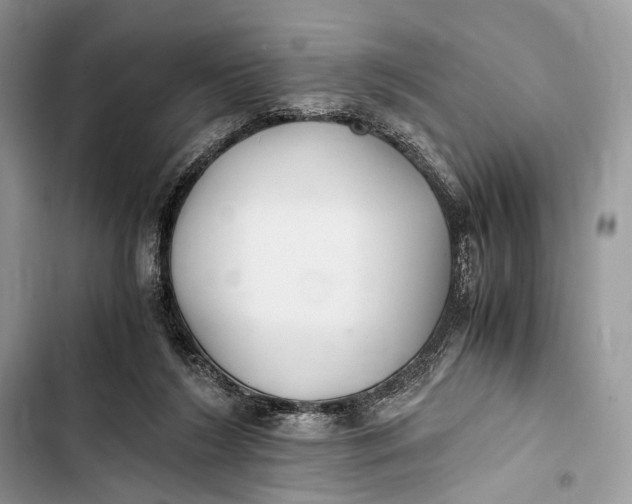 X0000103480212200810031550