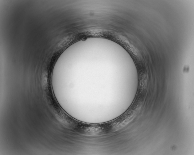 X0000103480213200810031550