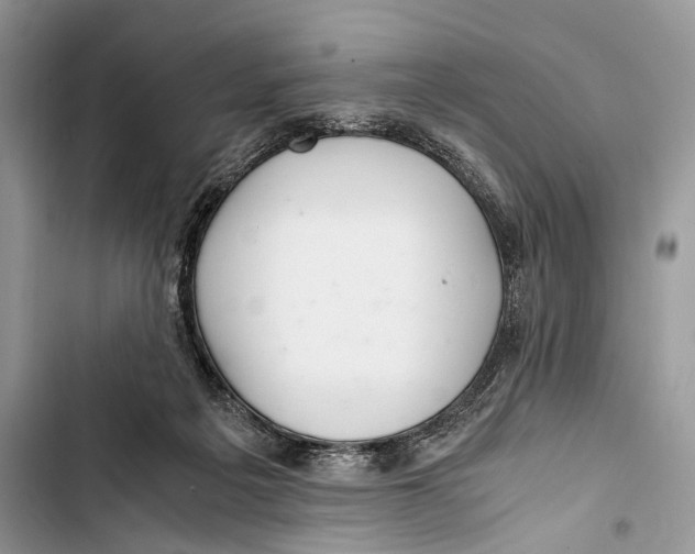 X0000103480217200810031550