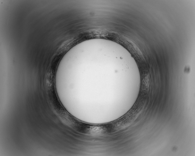 X0000103480218200810031550