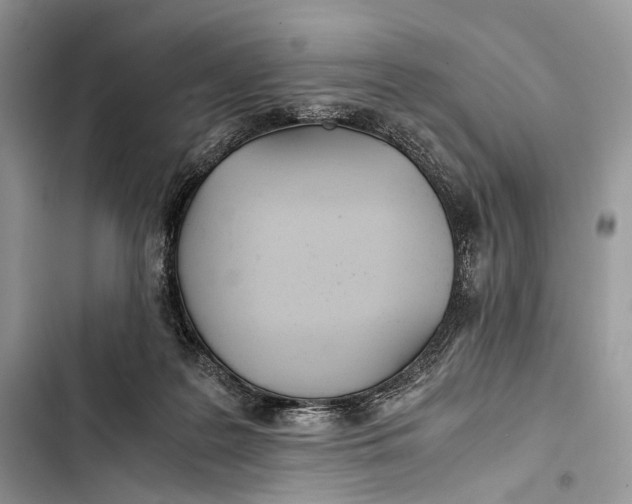 X0000103480219200810031550