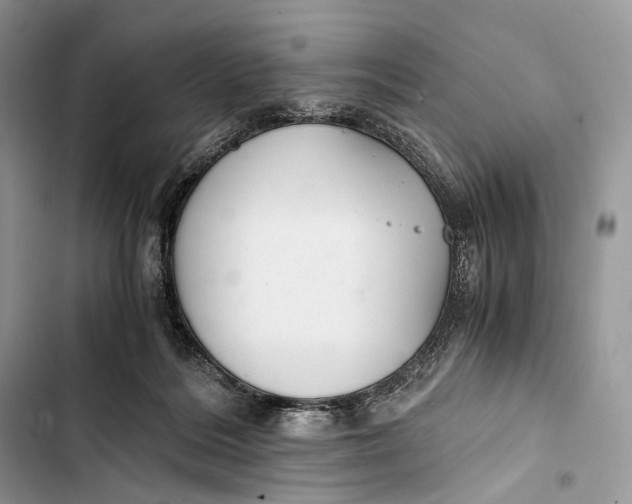 X0000103480220200810031550