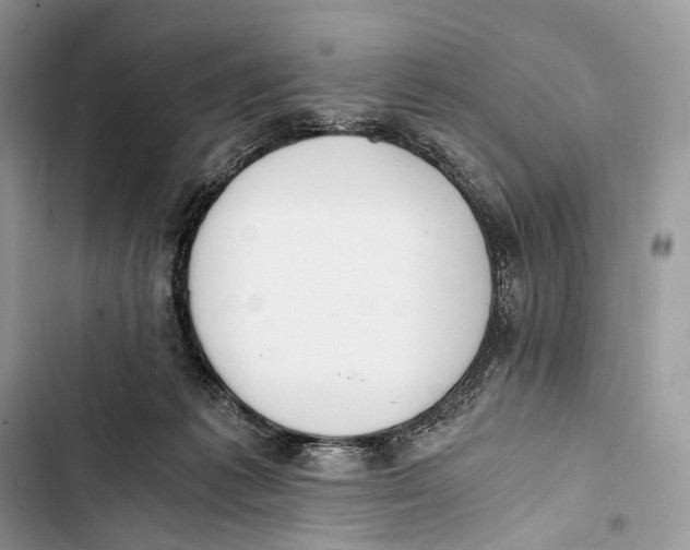 X0000103480221200810031550