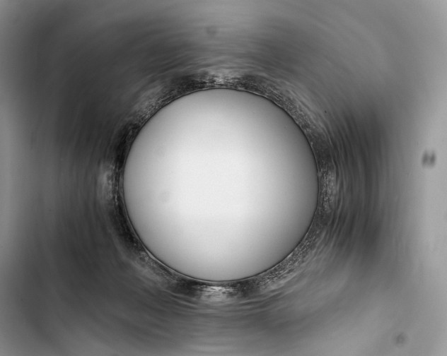 X0000103480222200810031550