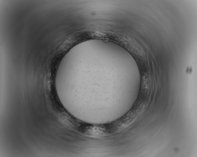 X0000103480223200810031550