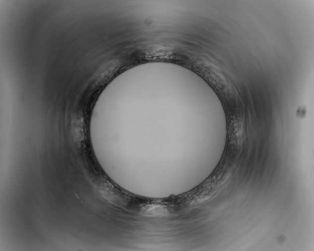 X0000103480224200810031550