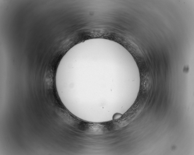 X0000103480226200810031550