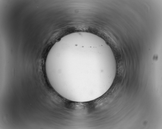 X0000103480229200810031550