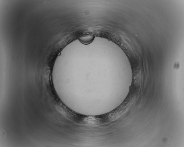 X0000103480231200810031550