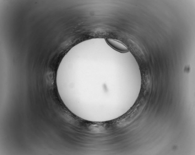 X0000103480232200810031550